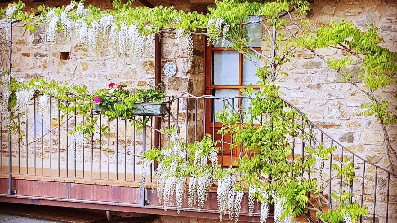 Hotel Podere Conti Filattiera Екстер'єр фото